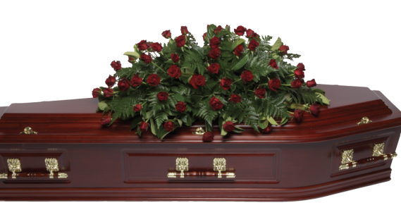 Roseclass-Double-Ended-Small-Red-Roses-1024x536