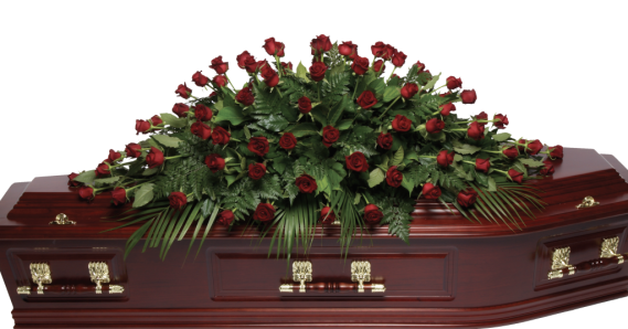 Rsignature-Double-Ended-Medium-Size-Red-Roses-1024x536