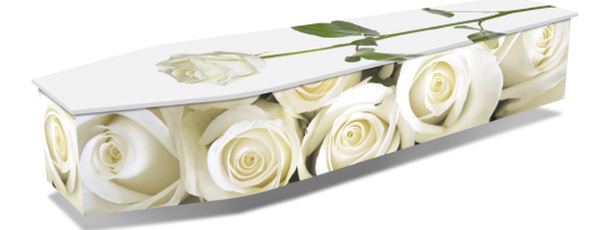 WHITE-ROSES-w-DROPSHADOWS-1024x536